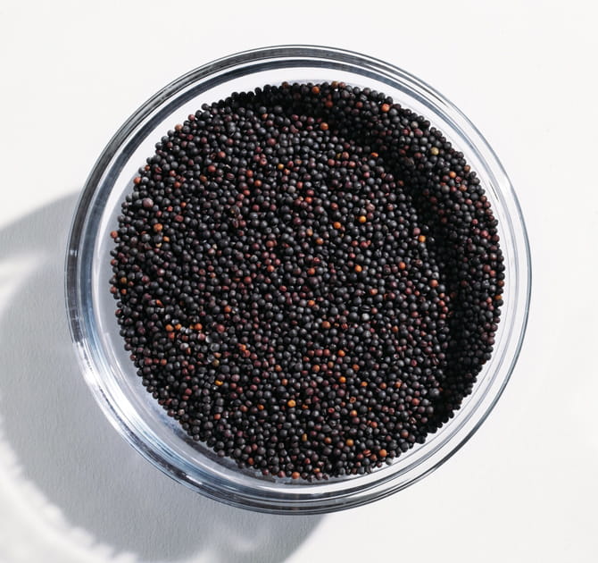 Bowl of Rapeseed Seeds
